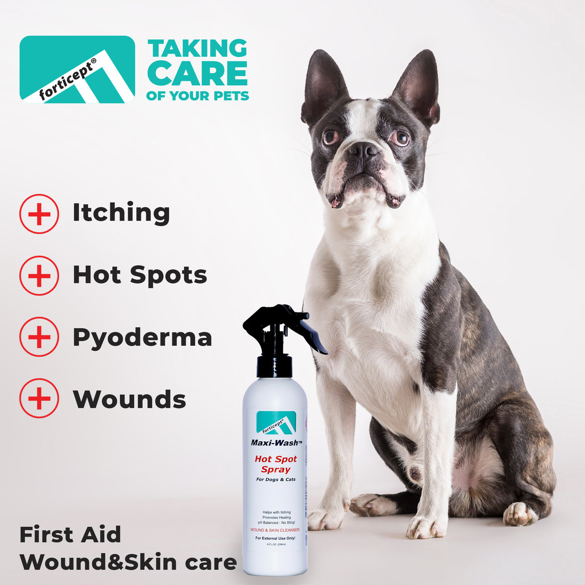 Best spray for dog hot spots best sale