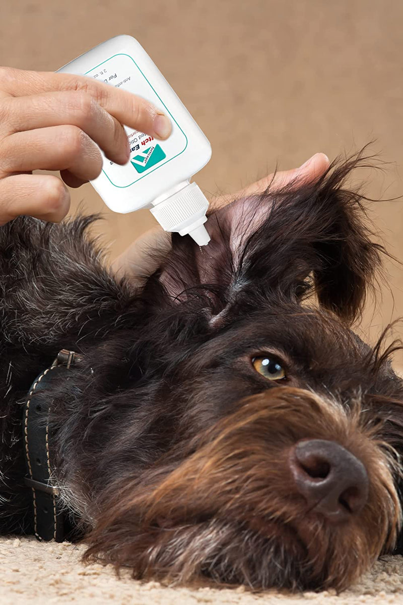 Dog Ear Treatment Kit Forticept