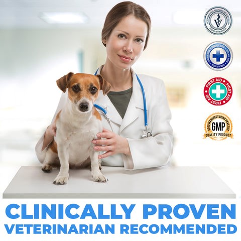 Dog First Aid Essentials: Why Every Pet Parent Needs a Wound Care Spray 