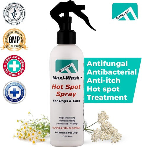 Looking for a Quick Fix for Hot Spots? Check Out This Spray for Dogs! 