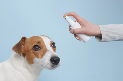 Heal and Protect: The Power of Hot Spot Spray in Dog Care