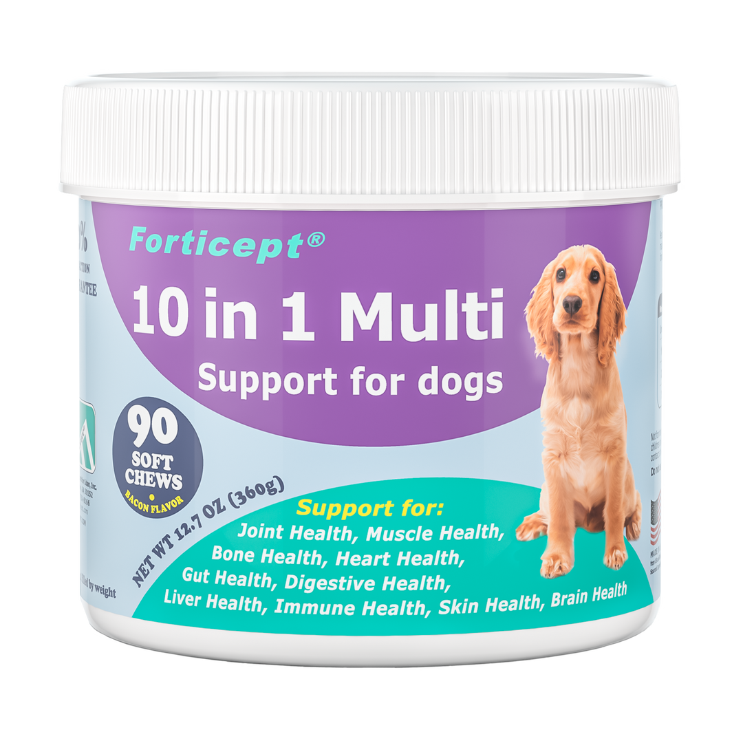 Dog Supplements – Forticept