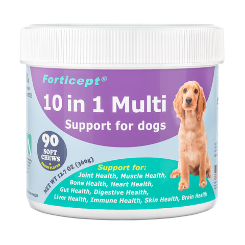 10 in 1 Dog Multivitamin Supplement